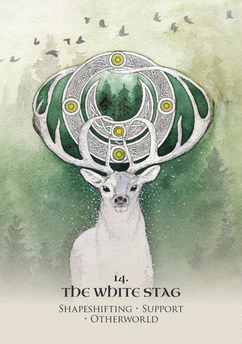 Illustration of a white stag with intricate antlers against a green background