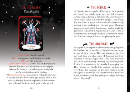 Card from a tarot deck with detailed artwork and text on a dark background