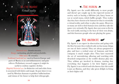 Card from a tarot deck with detailed artwork and text on a dark background