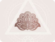 Decorative lace pattern on a white background