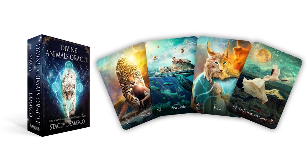 Divine Animals Oracle card set with colorful illustrations on a white background