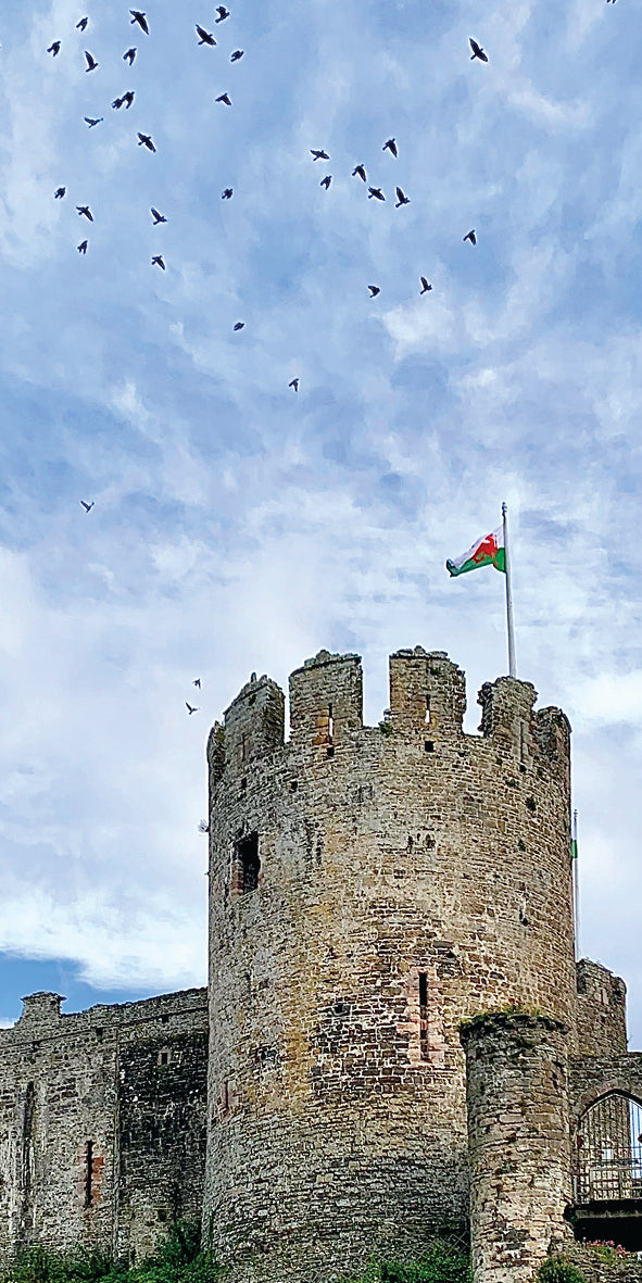 Castle tower with a flag against a blue sky with clouds