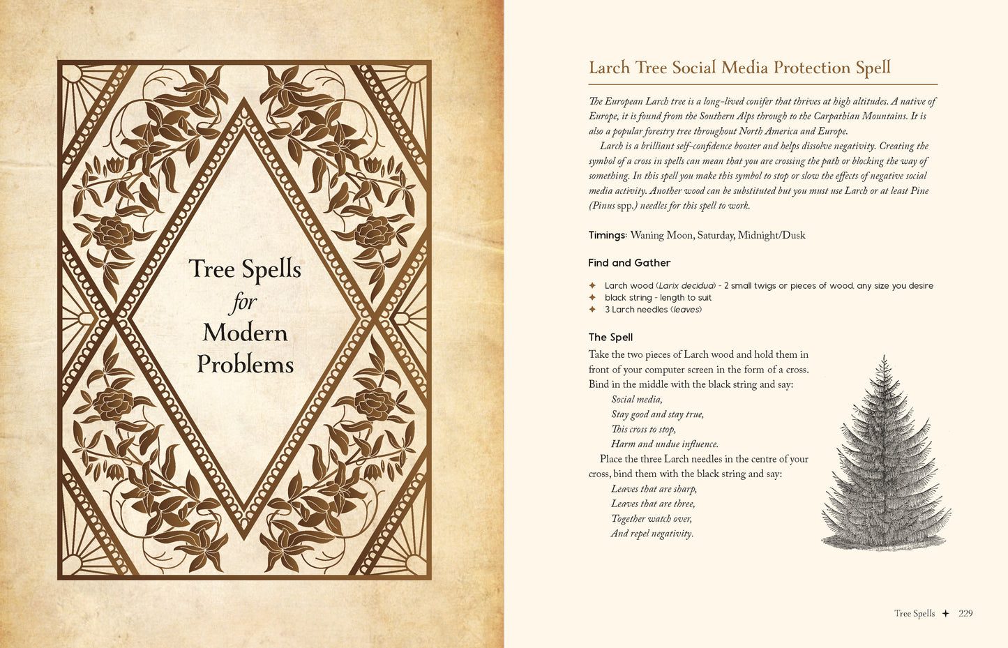 Magical spellbook page with tree spells for modern problems and a larch tree illustration.