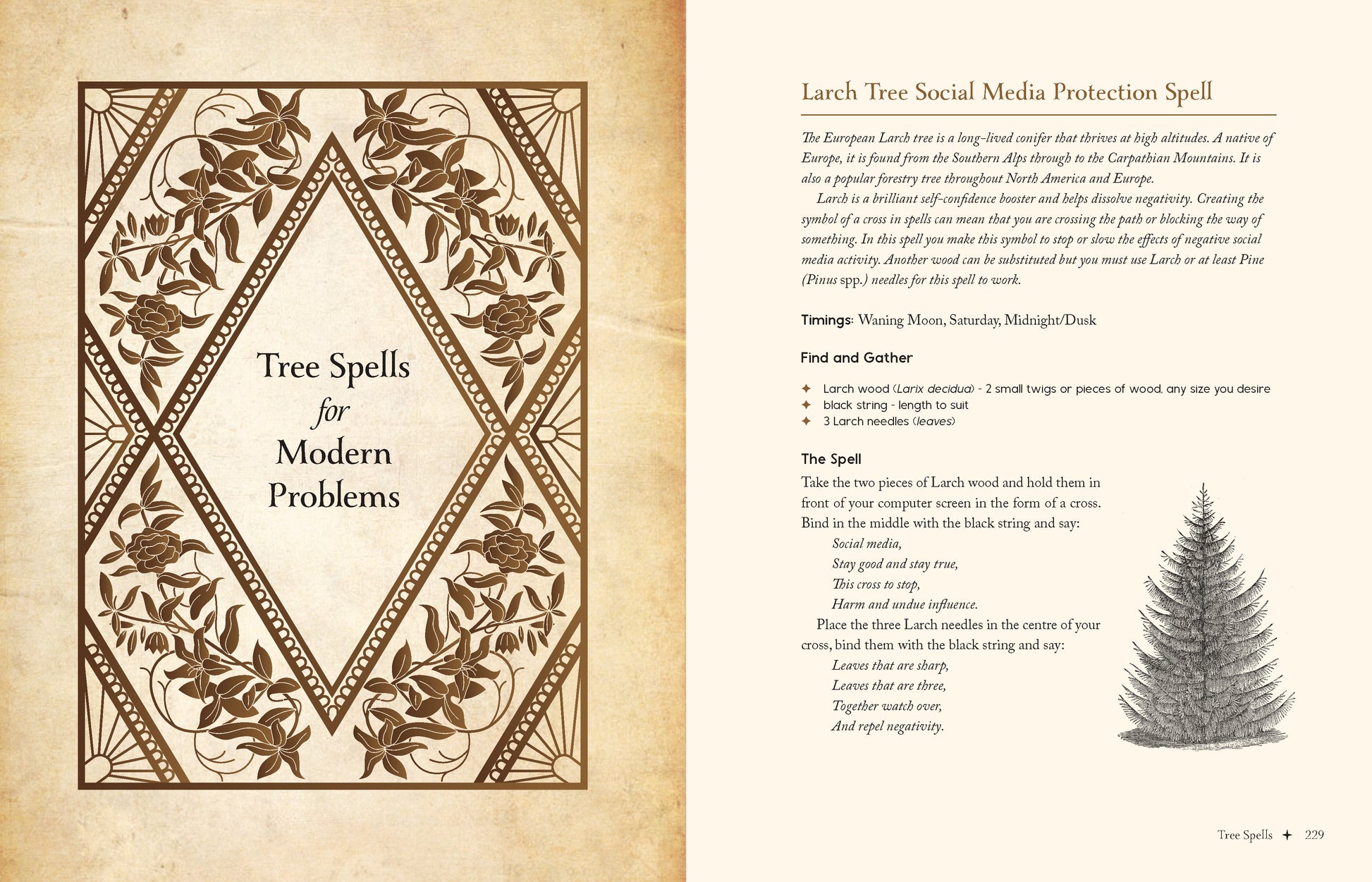 Magical spellbook page with tree spells for modern problems and a larch tree illustration.