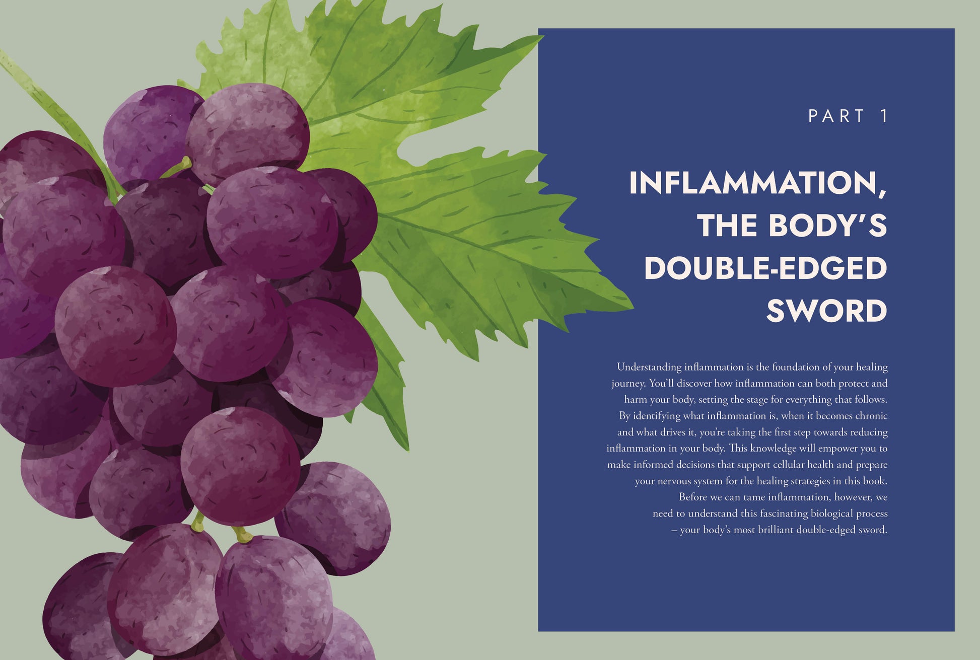 Illustration of grapes with a blue text box on inflammation.