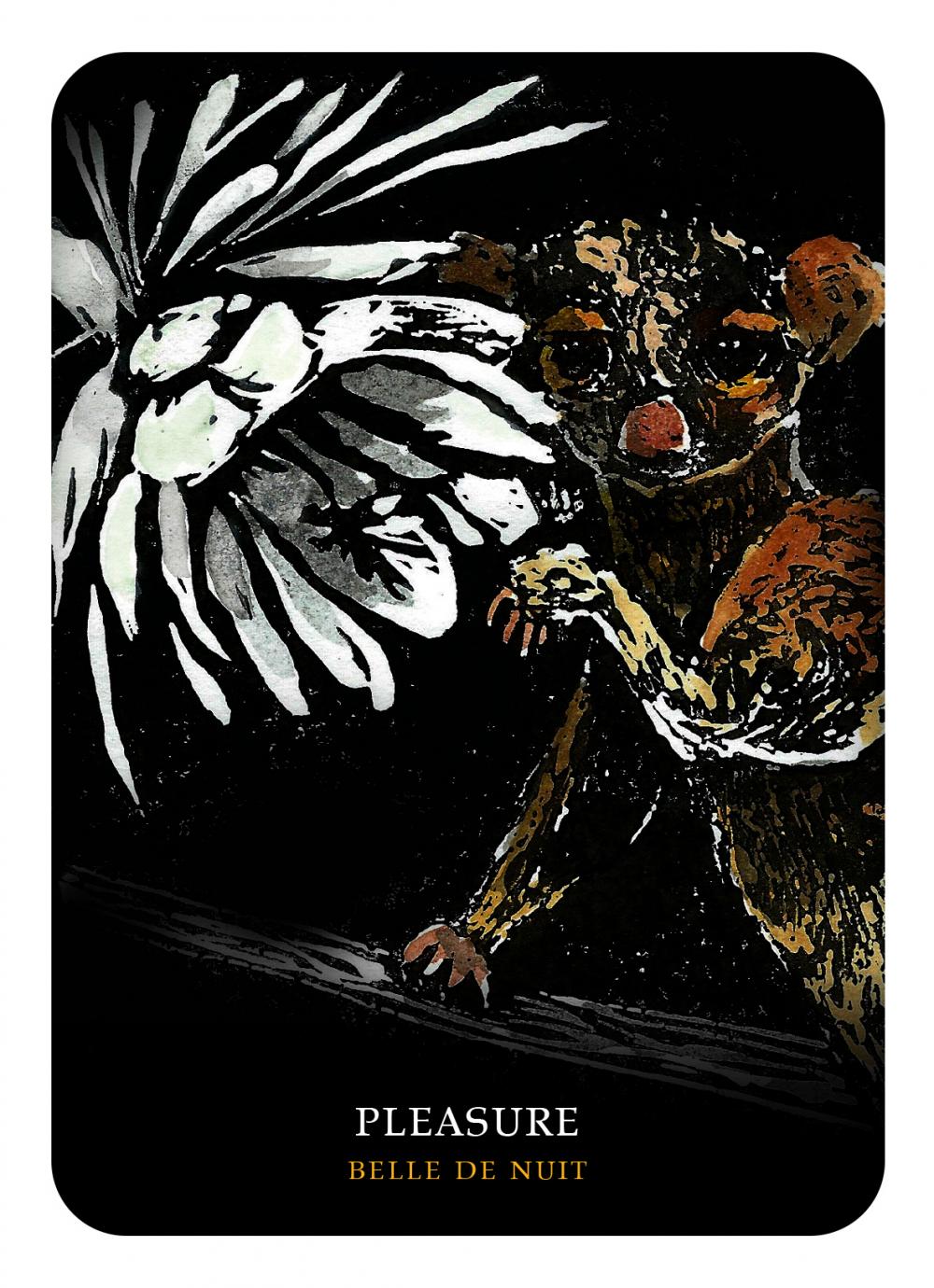Flowers of the Night Oracle by Cheralyn Darcey | Oracle Cards