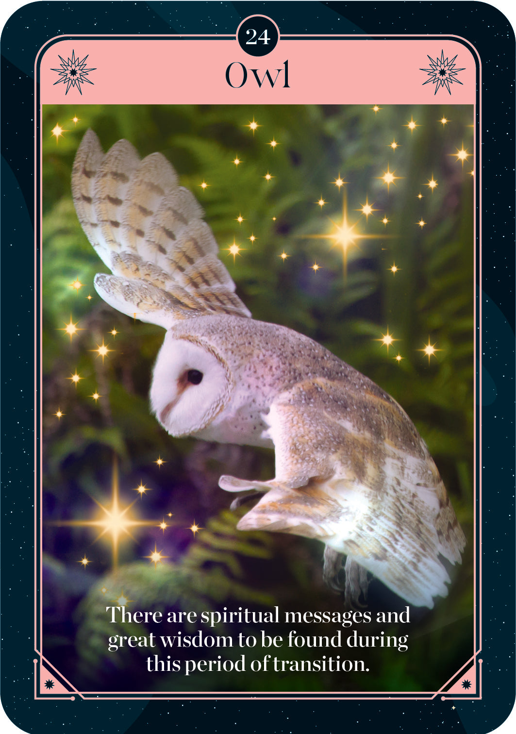 Card with an owl illustration and text about spiritual messages and wisdom during transition, on a dark background.