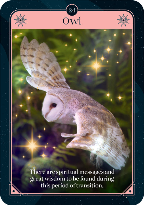 Card with an owl illustration and text about spiritual messages and wisdom during transition, on a dark background.