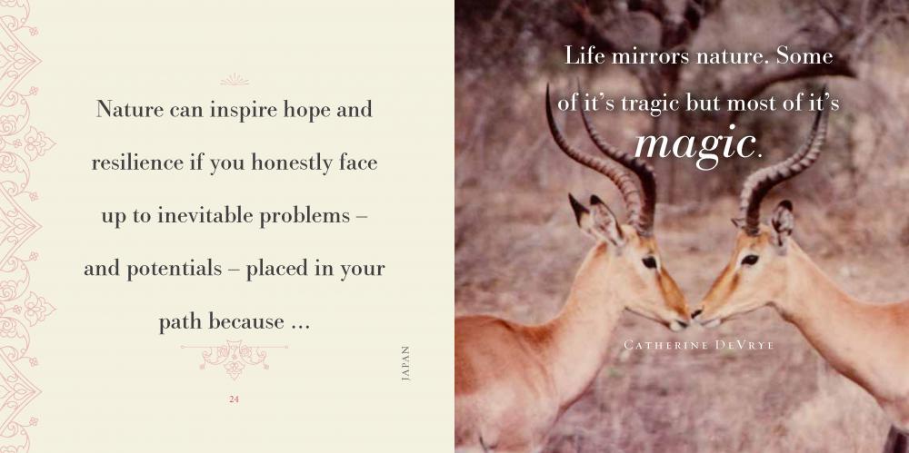 Two antelopes facing each other with a quote about life and nature on a textured background.
