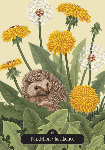 Illustration of a hedgehog among dandelions with text 'Dandelion - Resilience' on a beige background