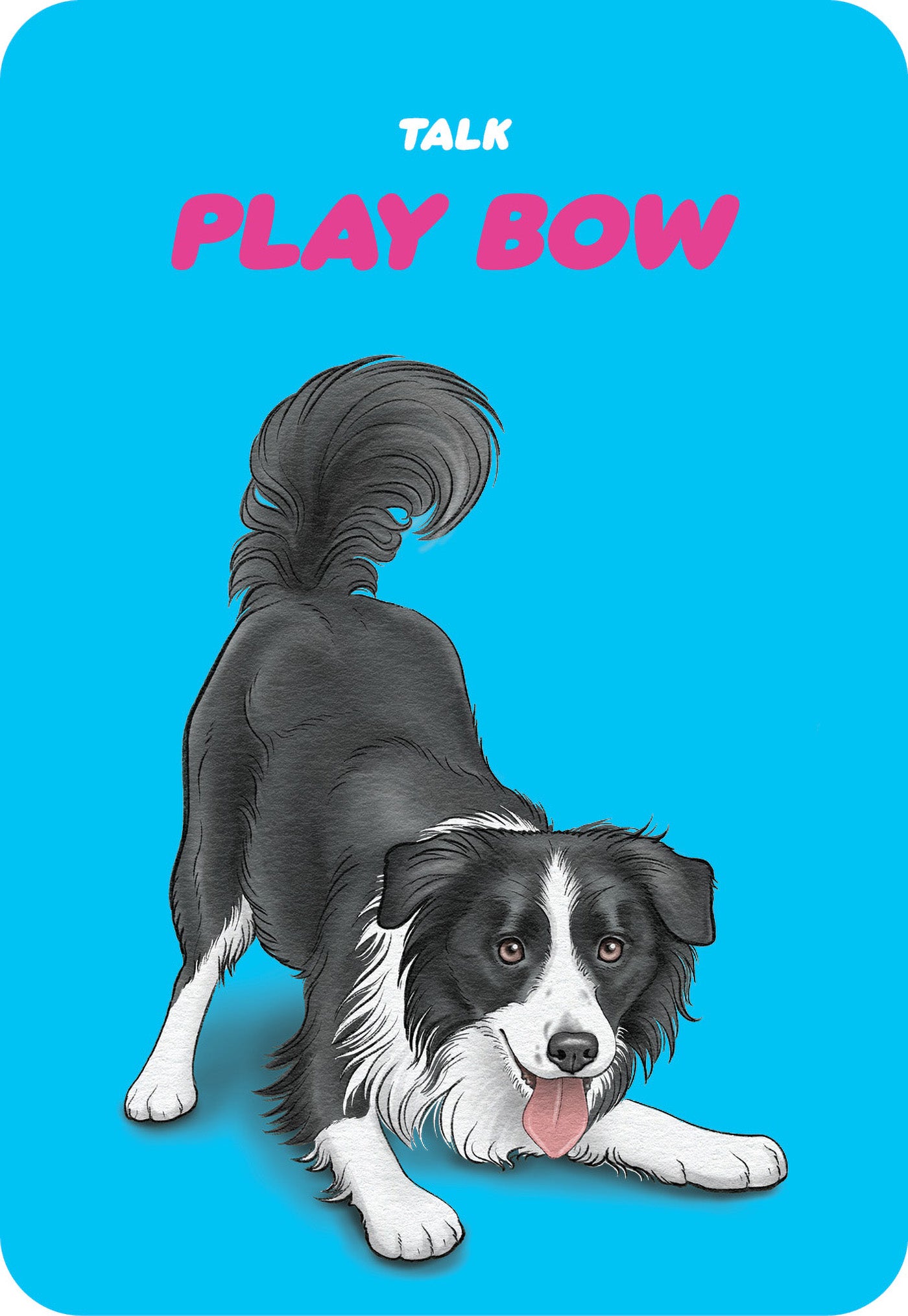 Illustration of a black and white dog on a blue background with text 'Talk Play Bow'.