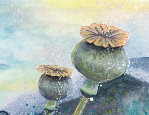 Watercolor illustration of green poppy pods with yellow flowers on a multicolored background