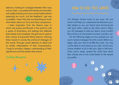 Instructions on how to use oracle cards with colorful illustrations and text.