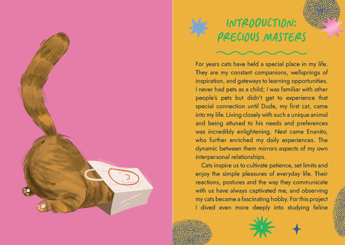 Introduction to Cat Wisdom Oracle Cards