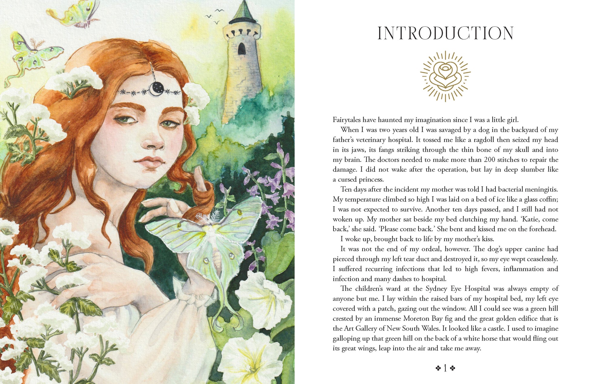 Illustrated fairy with red hair and butterfly wings on a book page with text.