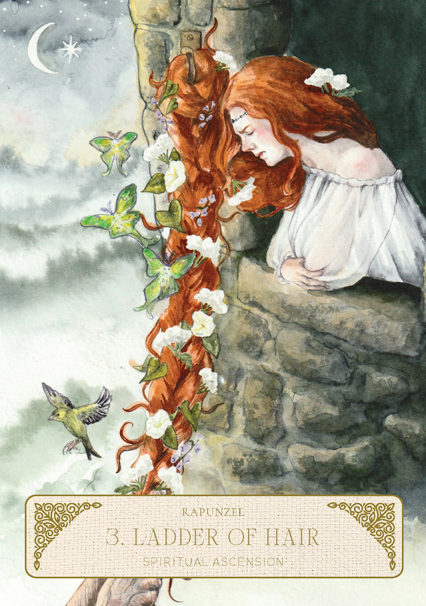 Illustration of a woman with long red hair on a stone wall with flowers and a bird, titled 'Ladder of Hair'.