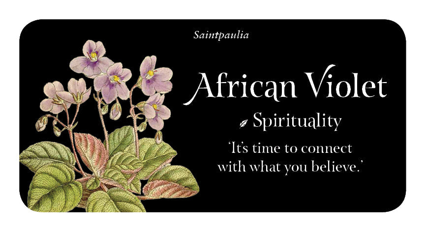 Card with illustration of African Violet and text about spirituality and belief.