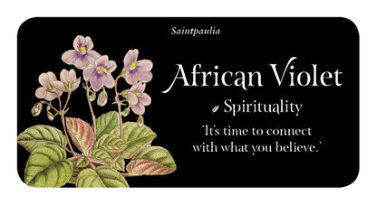 Card with illustration of African Violet and text about spirituality and belief.