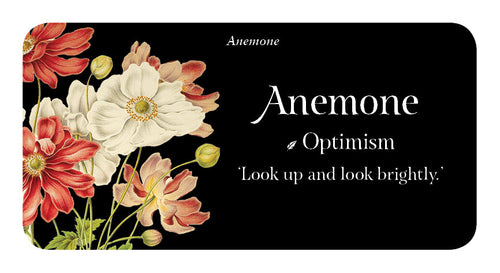 Floral design with anemone flowers on a black background, featuring the word 'Anemone' and a quote.