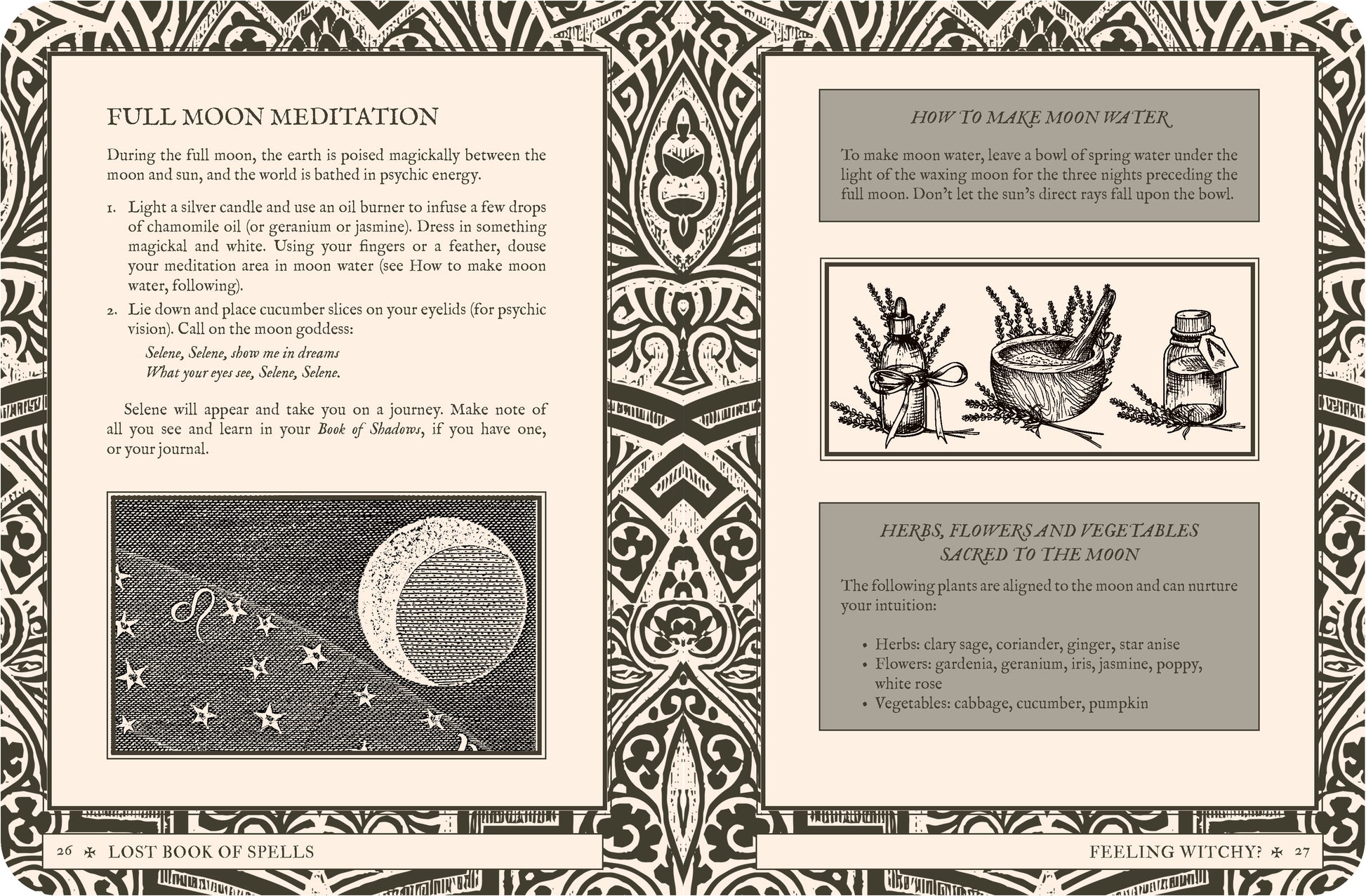 Magical book of spells with full moon meditation and herb illustrations on a decorative background.