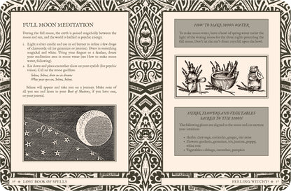 Magical book of spells with full moon meditation and herb illustrations on a decorative background.
