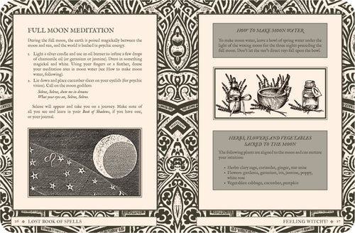 Magical book of spells with full moon meditation and herb illustrations on a decorative background.