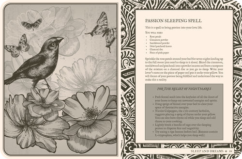 Magical spellbook page with a bird, flowers, and butterflies on a decorative background.