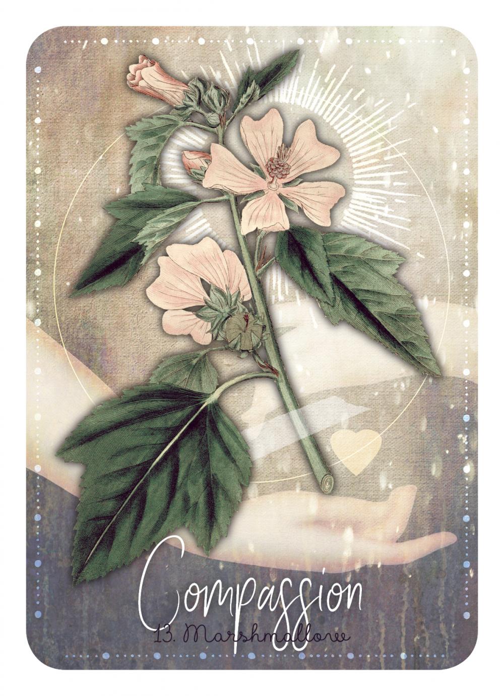 Card with floral design and 'Compassion' text, featuring a soft color palette.