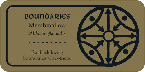 Marshmallow Card with text and a decorative design on a beige background