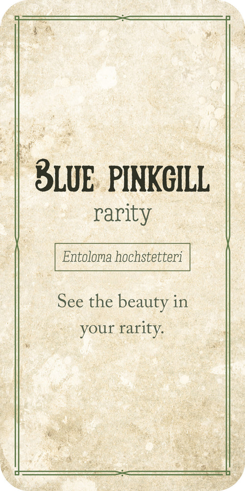 Card with 'Blue Pinkgill' text and branding on a textured background
