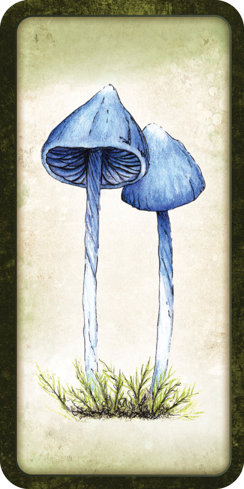 Illustration of two blue mushrooms on a textured beige background
