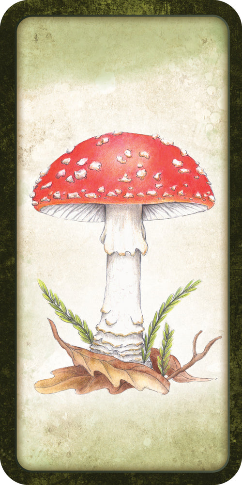 Illustration of a red mushroom with green leaves on a textured beige background