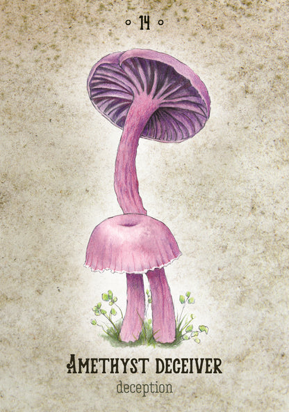Purple mushroom with a textured green background, labeled 'Amethyst Deceiver'.