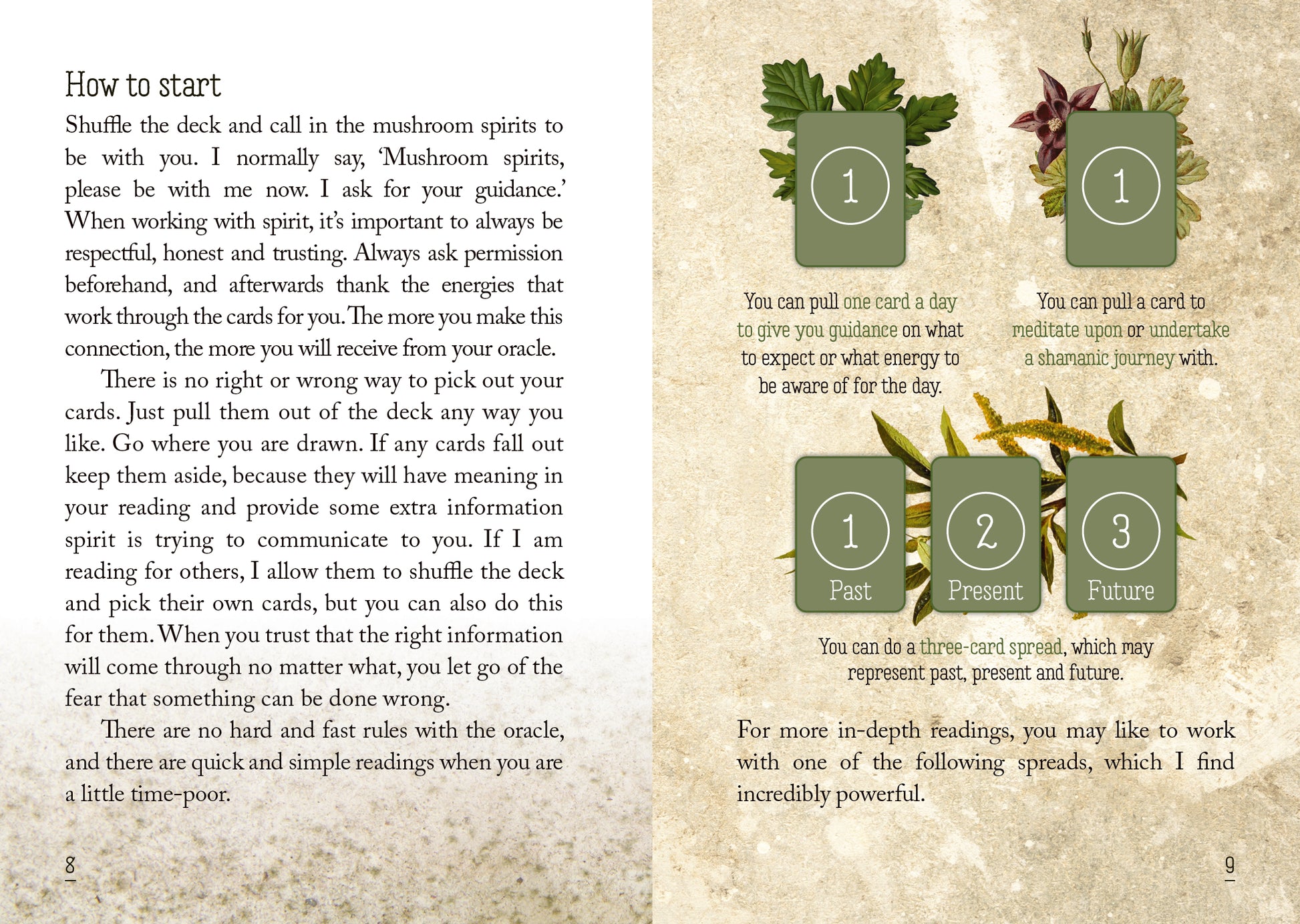 Instructions for a mushroom spirit oracle deck on a textured beige background with green cards and illustrations.