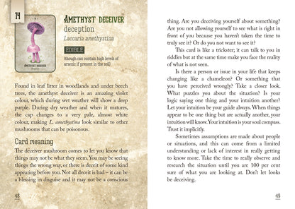 Mushroom identification card with text and illustration of Laccaria amethystina