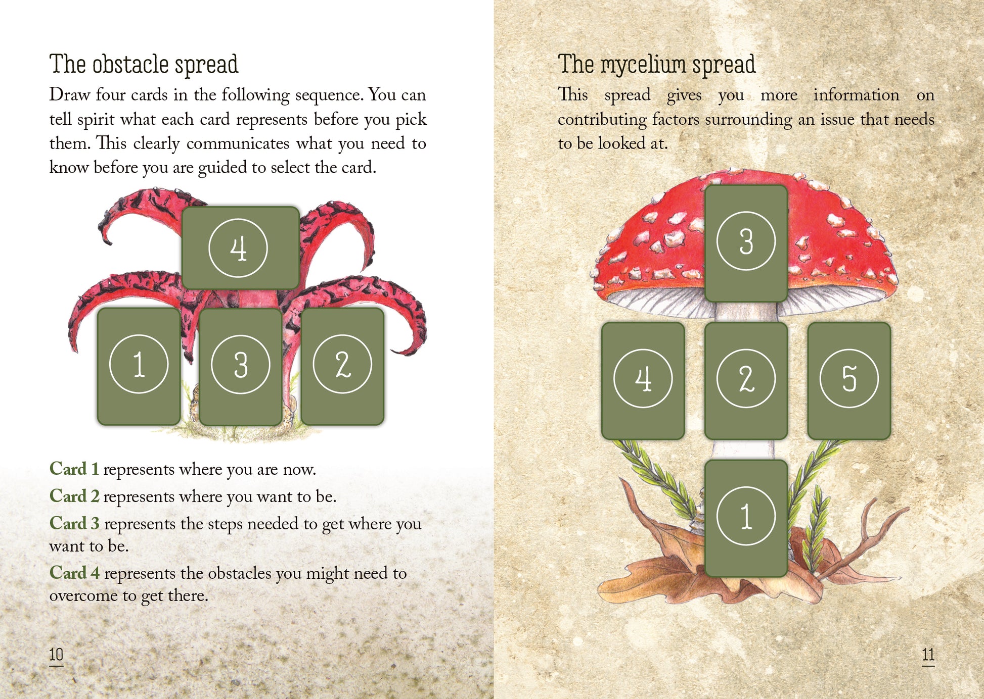 Two pages from a book showing card layouts for a tarot spread with green cards and pink and red elements.