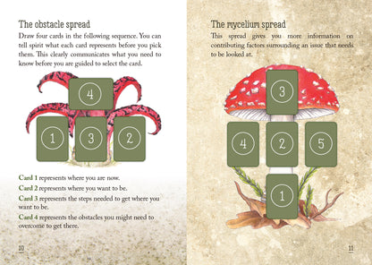 Two pages from a book showing card layouts for a tarot spread with green cards and pink and red elements.