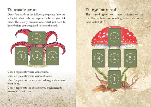 Two pages from a book showing card layouts for a tarot spread with green cards and pink and red elements.