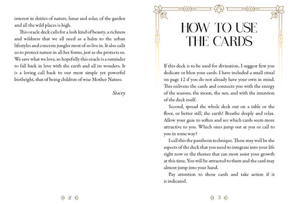 Instructions on how to use oracle cards with text and decorative elements.