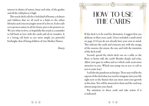 Instructions on how to use oracle cards with text and decorative elements.