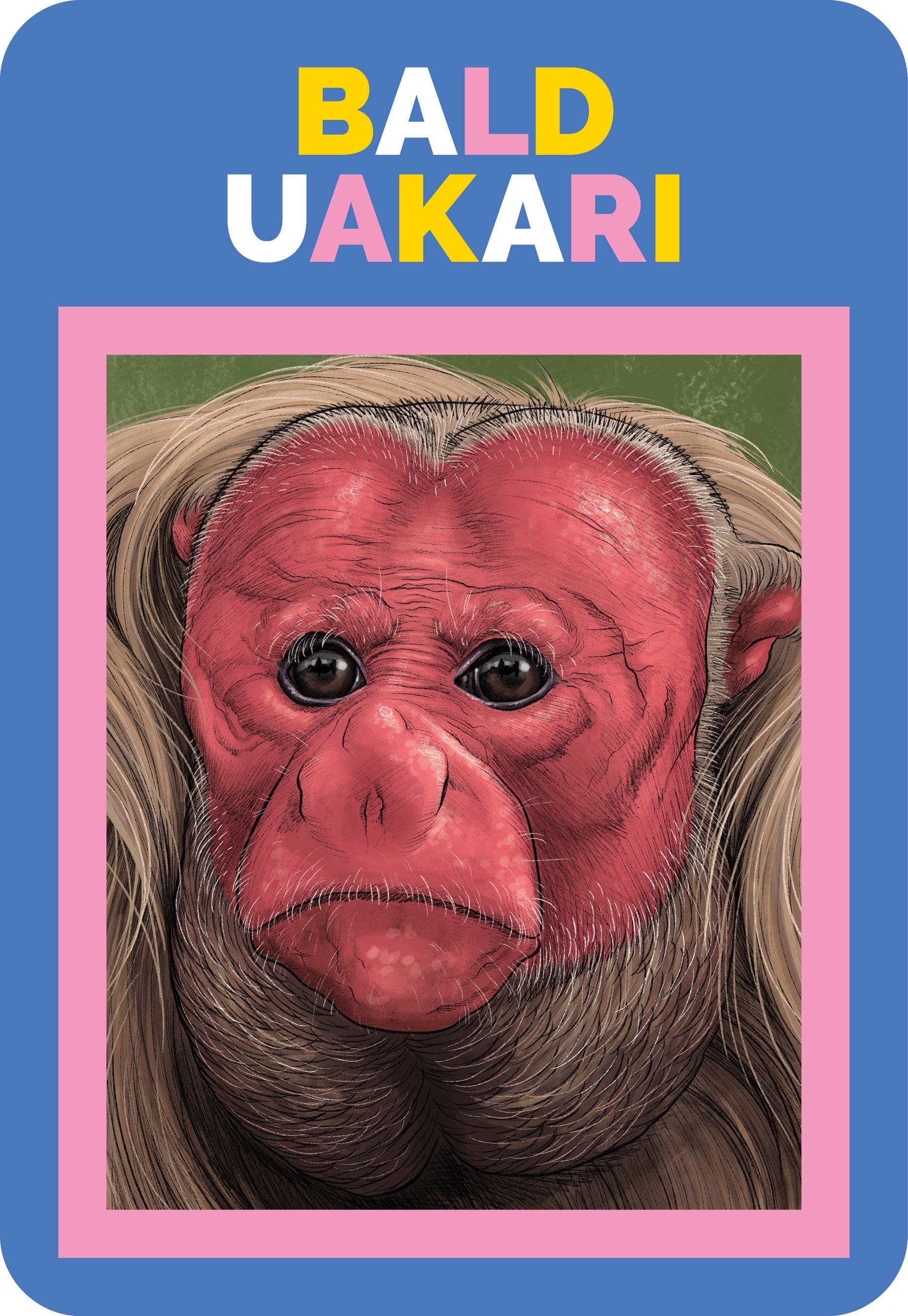 Illustration of a bald uakari with a colorful border and text on a blue background