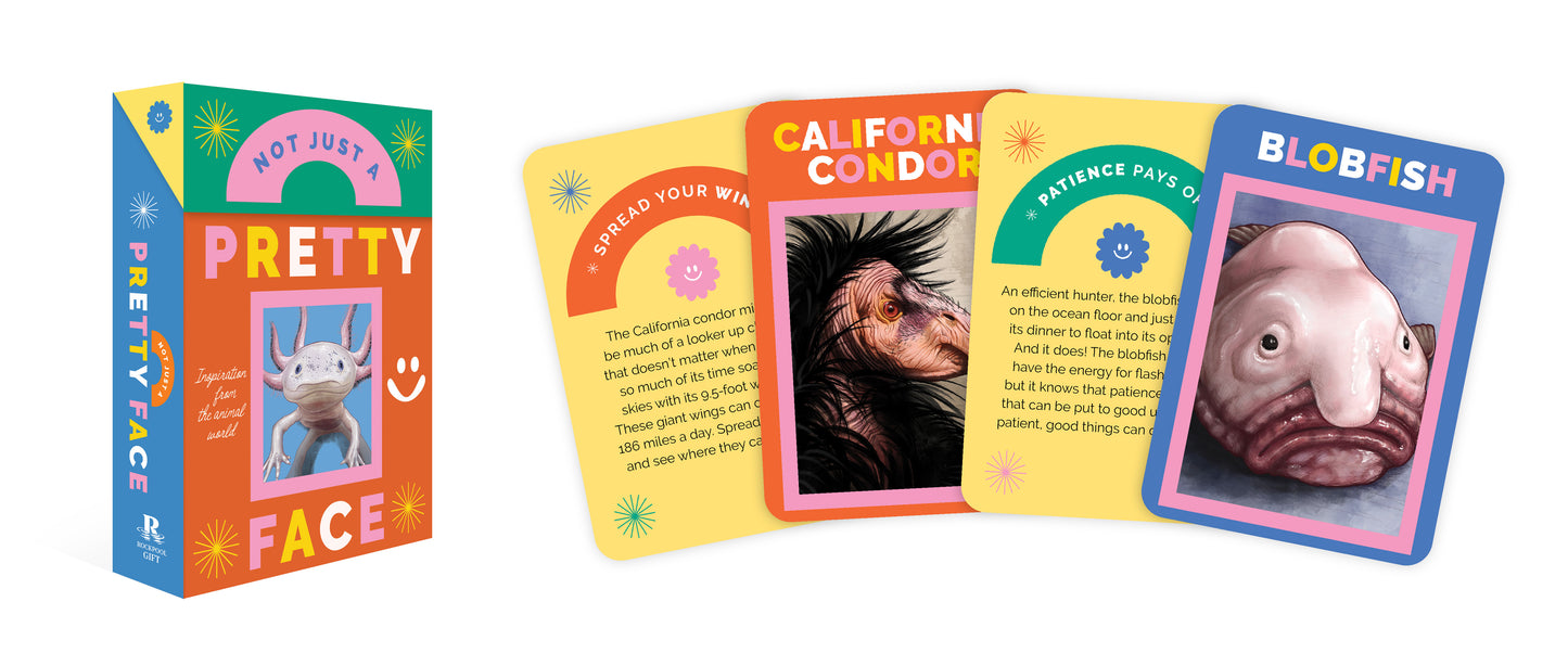 Set of colorful trading cards with various designs and text on a white background