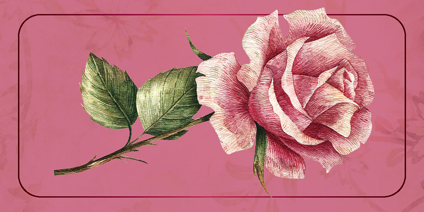Pink vintage style rose illustration on pink background 