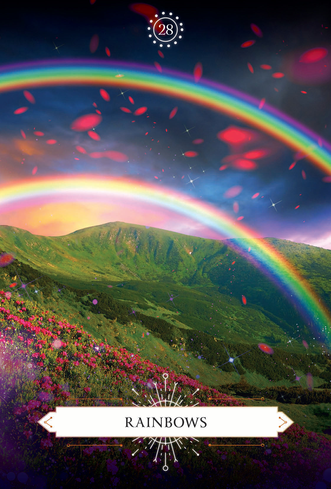 Rainbow over a mountain landscape with flowers and a starry night sky.