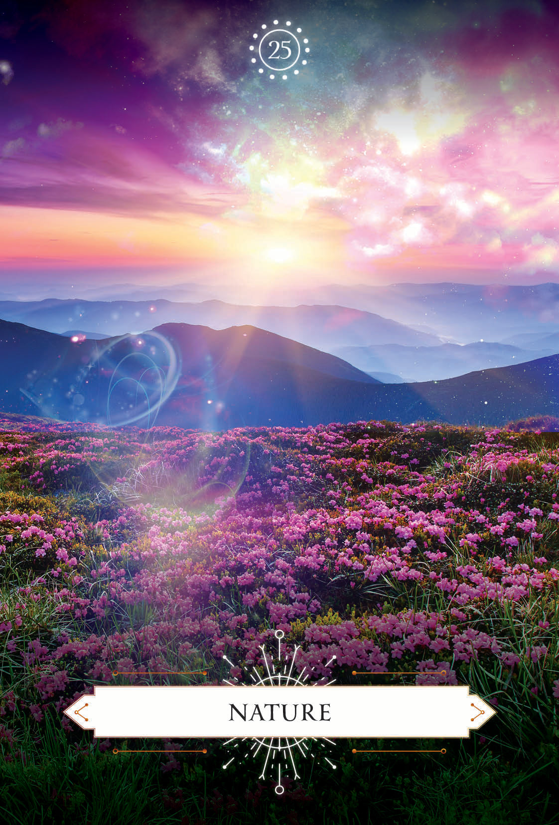 Scenic view of a mountain landscape with pink flowers and a bright sky.