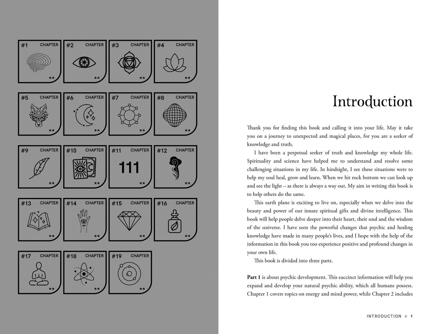 Book page with chapter icons and an introduction text on a gray background