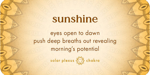 Decorative banner with 'sunshine' text and mandala design on a beige background