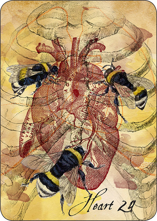 Artistic depiction of a heart with bees and anatomical details on a textured background