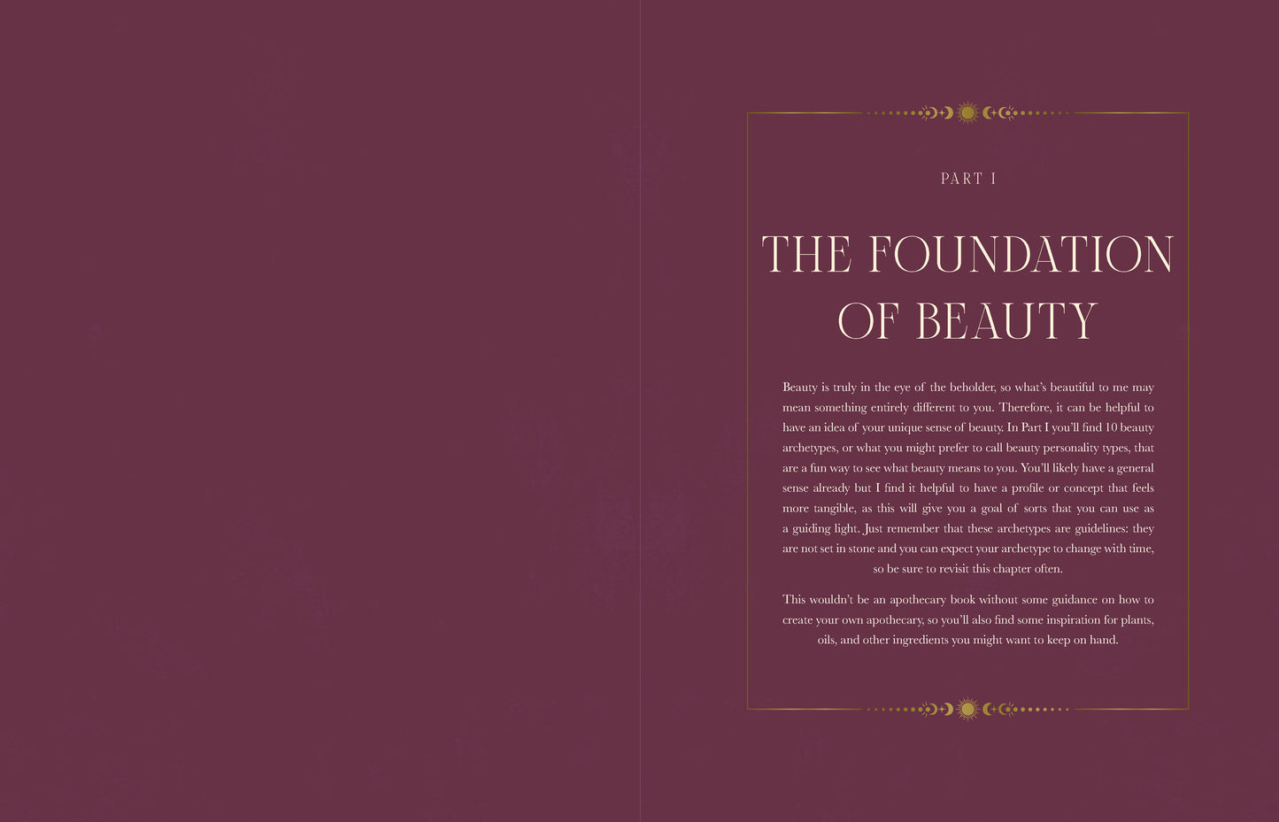 Book cover with text on a maroon background