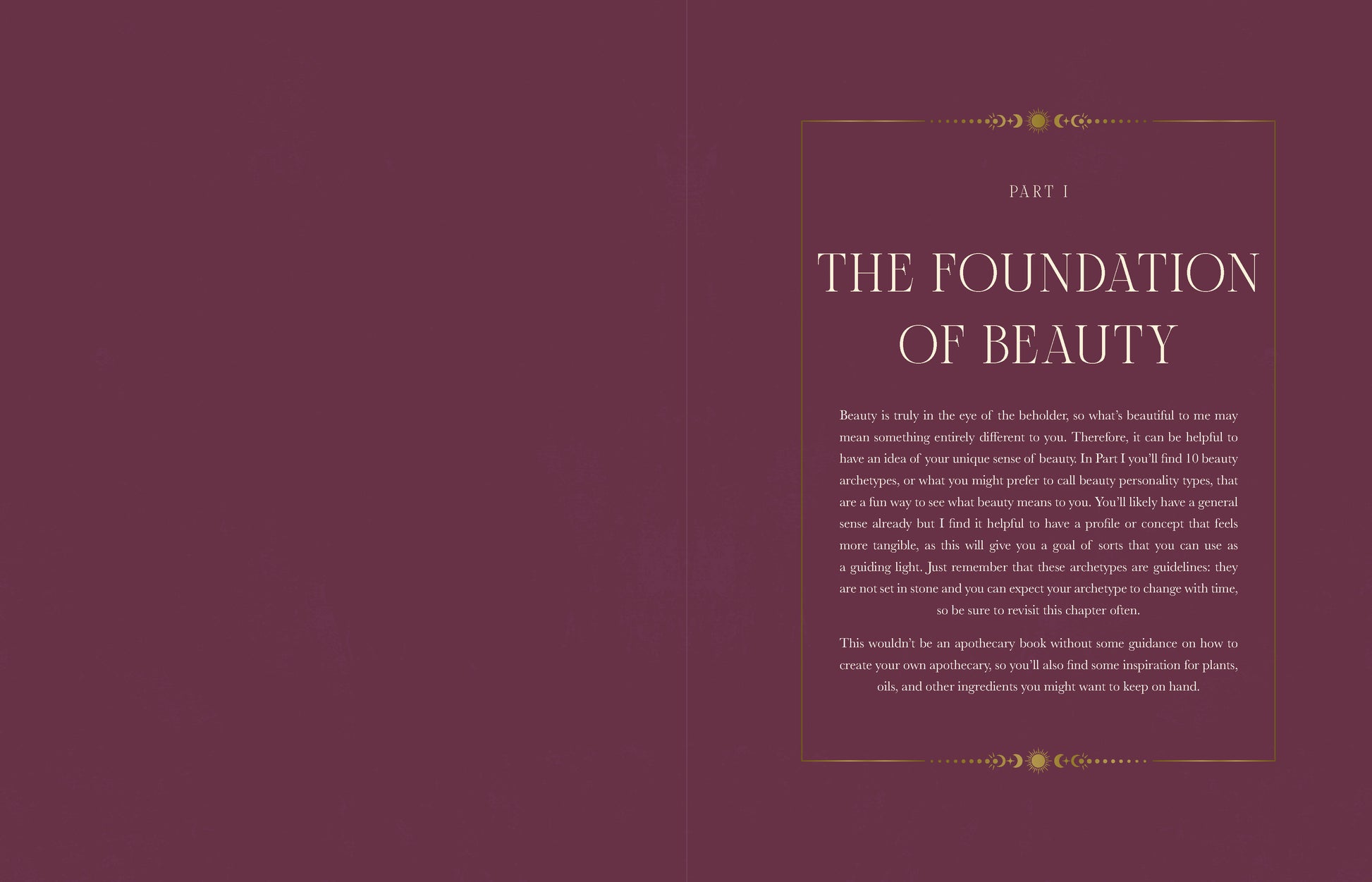 Book cover with text on a maroon background